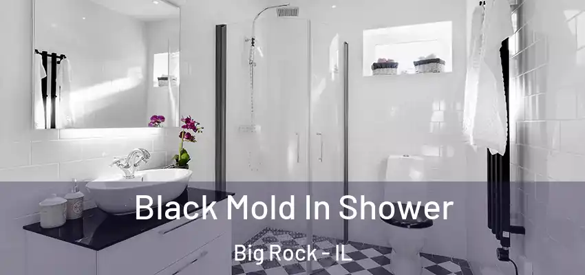  Black Mold In Shower Big Rock - IL