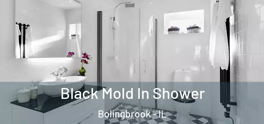  Black Mold In Shower Bolingbrook - IL