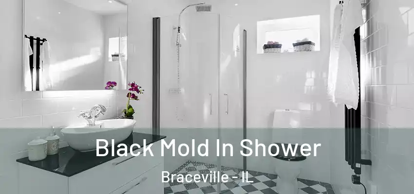  Black Mold In Shower Braceville - IL