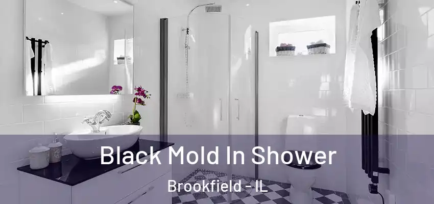  Black Mold In Shower Brookfield - IL