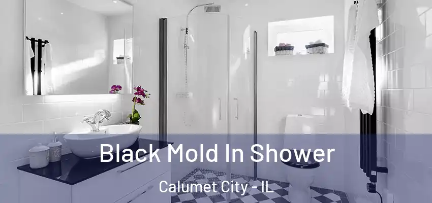  Black Mold In Shower Calumet City - IL