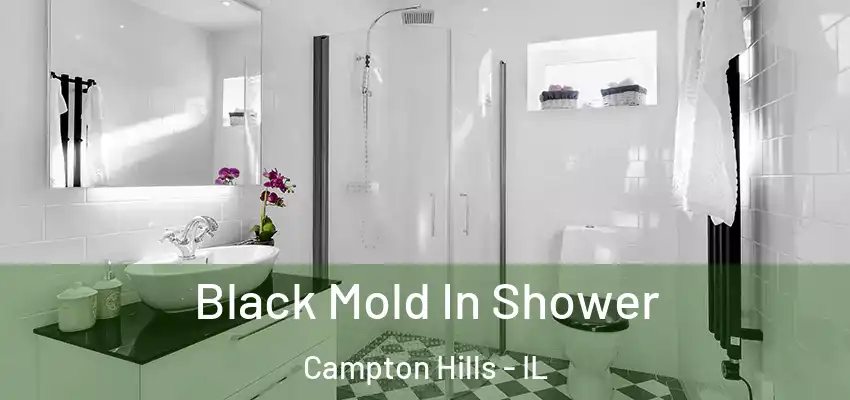 Black Mold In Shower Campton Hills - IL