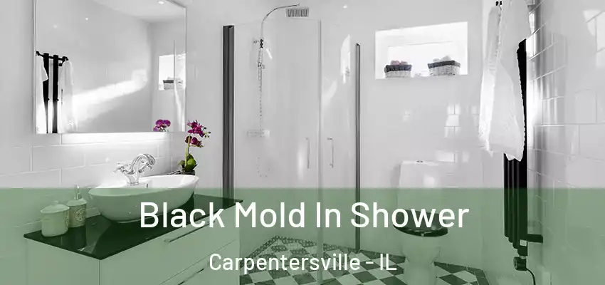 Black Mold In Shower Carpentersville - IL