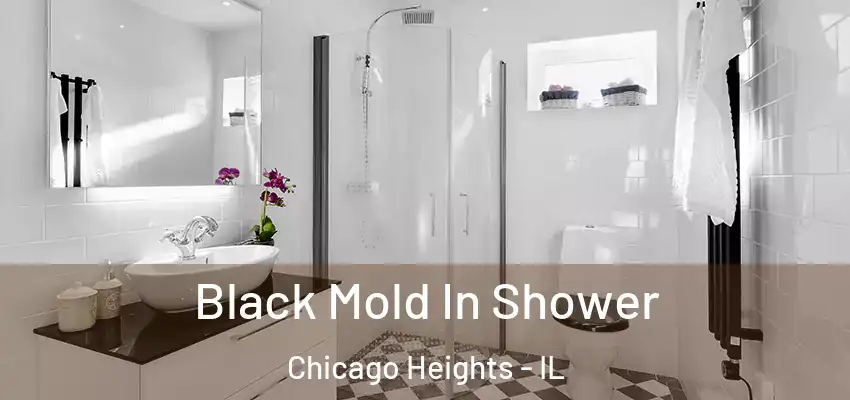 Black Mold In Shower Chicago Heights - IL