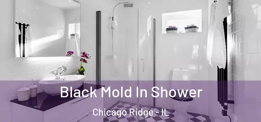Black Mold In Shower Chicago Ridge - IL