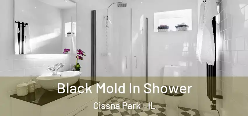  Black Mold In Shower Cissna Park - IL