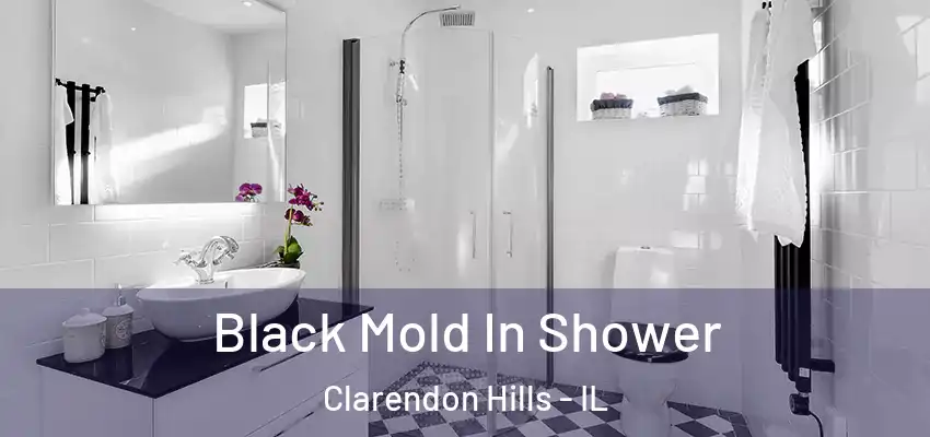 Black Mold In Shower Clarendon Hills - IL