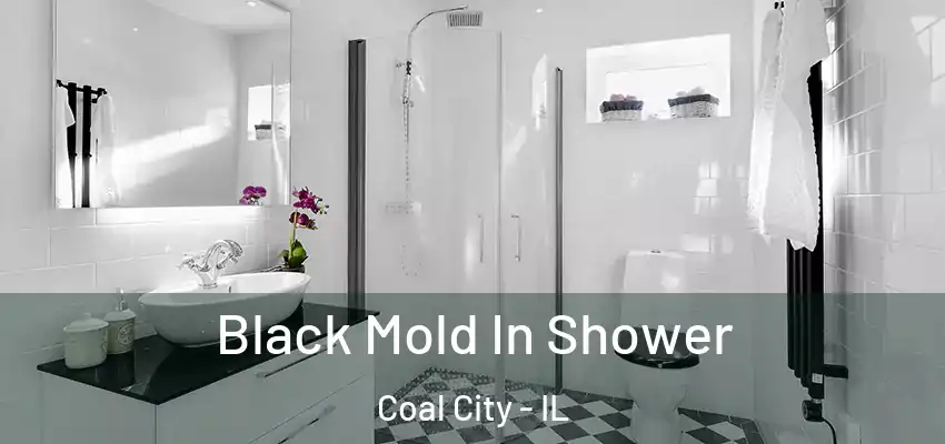  Black Mold In Shower Coal City - IL