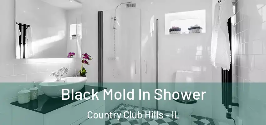  Black Mold In Shower Country Club Hills - IL