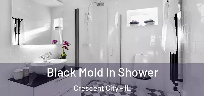 Black Mold In Shower Crescent City - IL