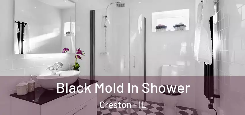 Black Mold In Shower Creston - IL