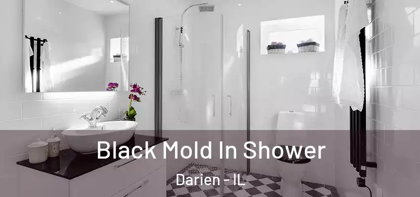 Black Mold In Shower Darien - IL