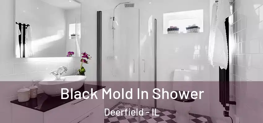  Black Mold In Shower Deerfield - IL
