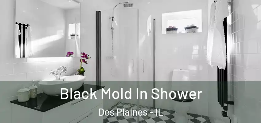  Black Mold In Shower Des Plaines - IL