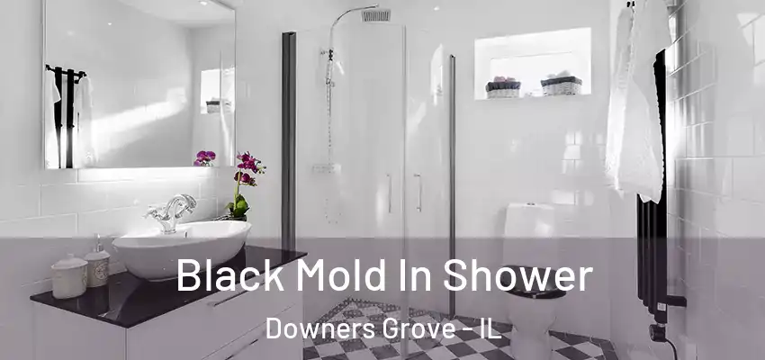  Black Mold In Shower Downers Grove - IL