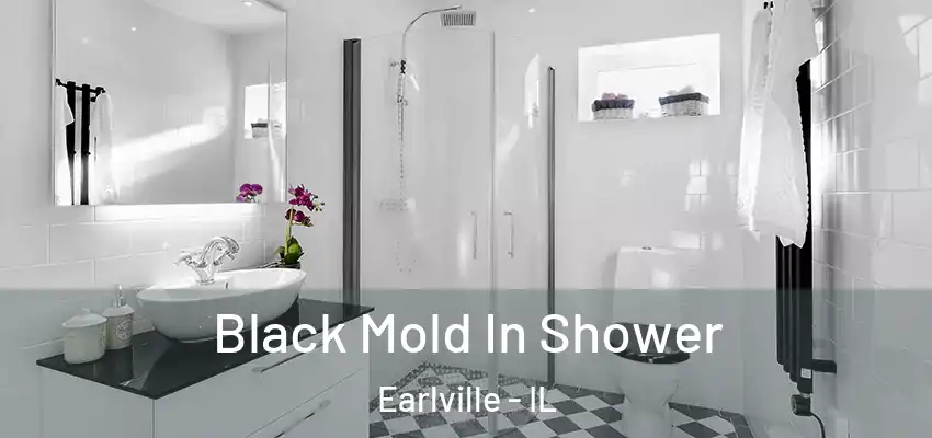  Black Mold In Shower Earlville - IL