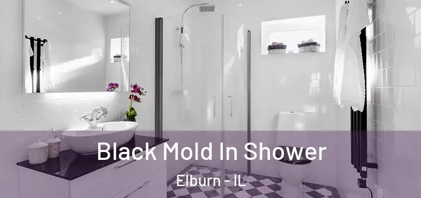 Black Mold In Shower Elburn - IL