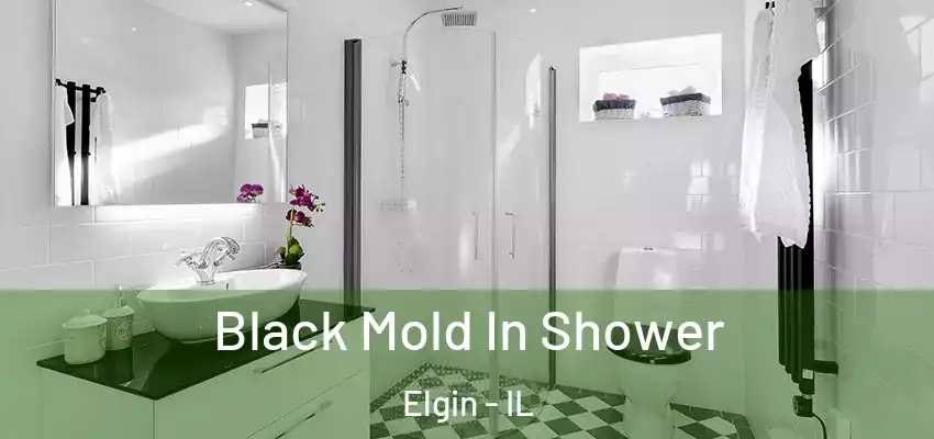 Black Mold In Shower Elgin - IL