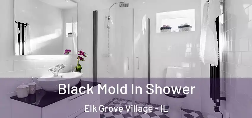  Black Mold In Shower Elk Grove Village - IL