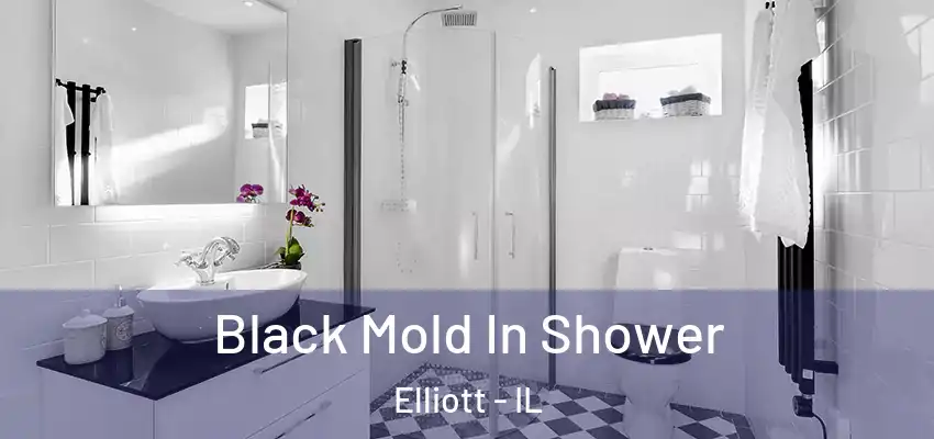  Black Mold In Shower Elliott - IL