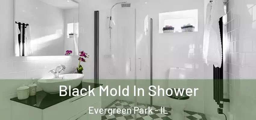 Black Mold In Shower Evergreen Park - IL