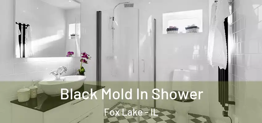  Black Mold In Shower Fox Lake - IL