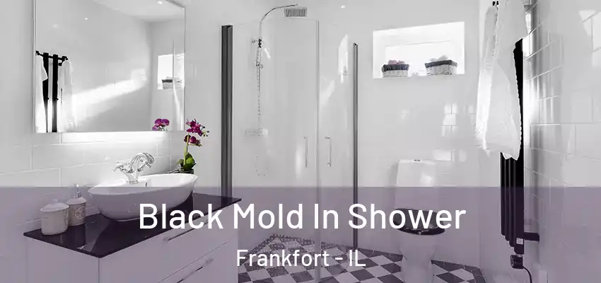 Black Mold In Shower Frankfort - IL