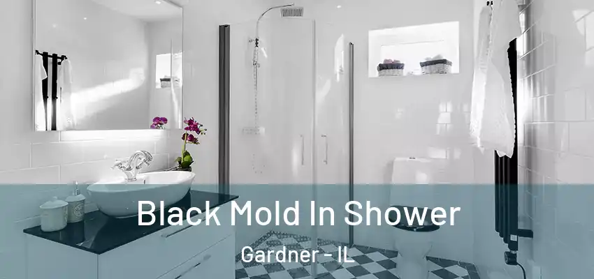 Black Mold In Shower Gardner - IL