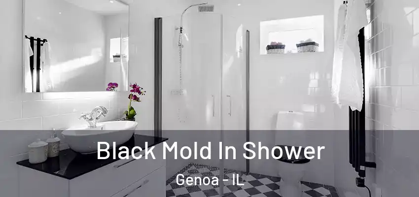 Black Mold In Shower Genoa - IL