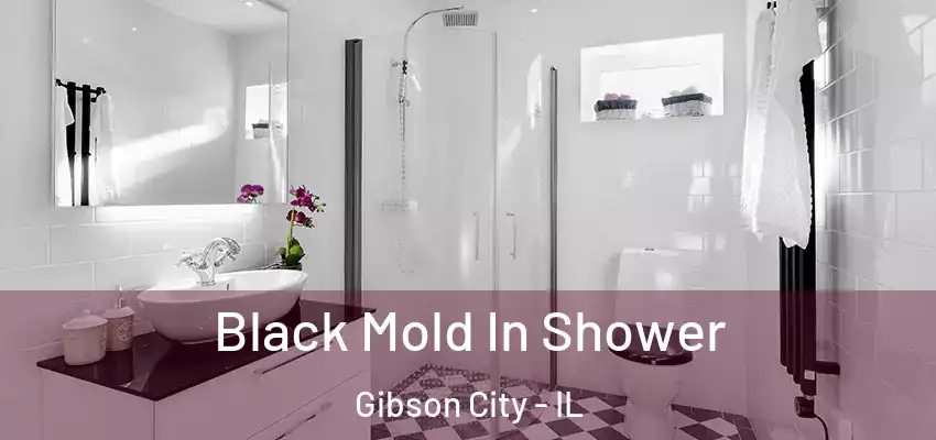  Black Mold In Shower Gibson City - IL