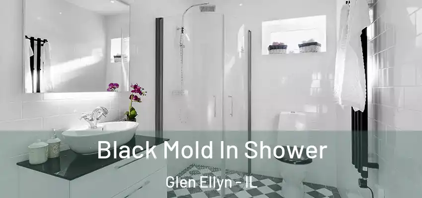 Black Mold In Shower Glen Ellyn - IL