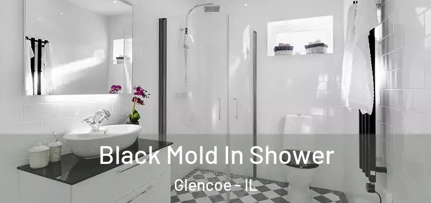 Black Mold In Shower Glencoe - IL
