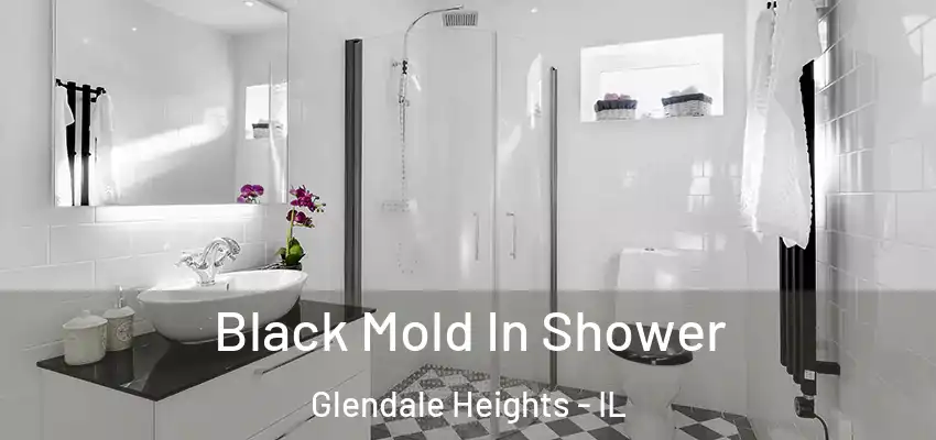Black Mold In Shower Glendale Heights - IL