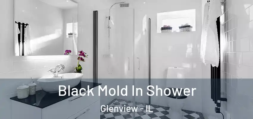 Black Mold In Shower Glenview - IL