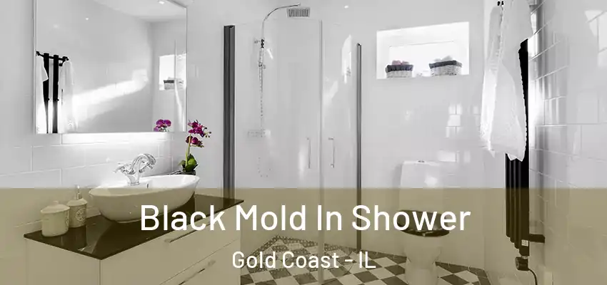  Black Mold In Shower Gold Coast - IL