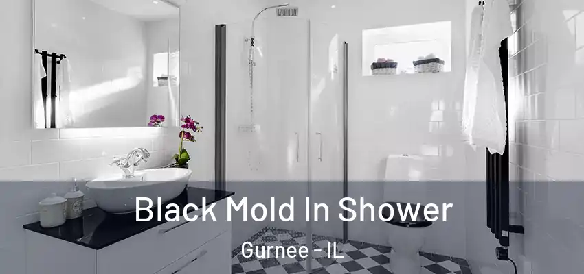  Black Mold In Shower Gurnee - IL