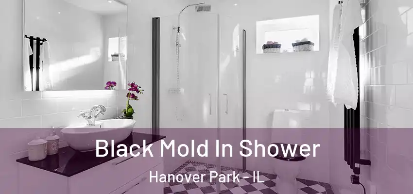  Black Mold In Shower Hanover Park - IL