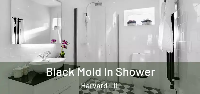 Black Mold In Shower Harvard - IL