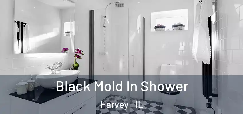 Black Mold In Shower Harvey - IL