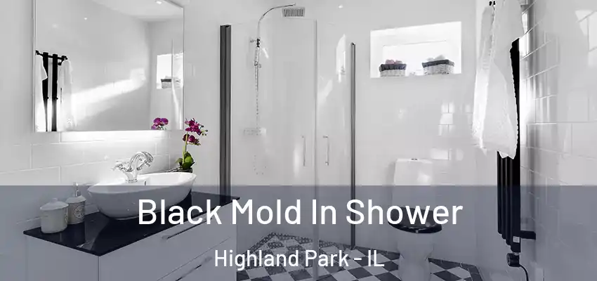  Black Mold In Shower Highland Park - IL