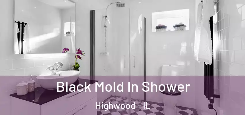 Black Mold In Shower Highwood - IL
