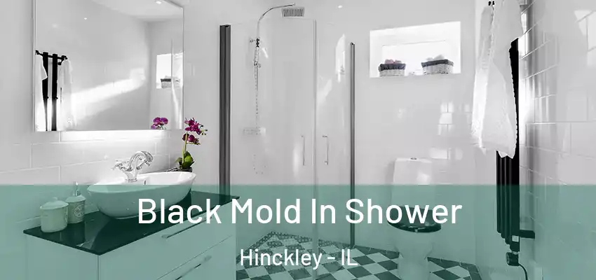 Black Mold In Shower Hinckley - IL