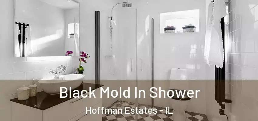  Black Mold In Shower Hoffman Estates - IL