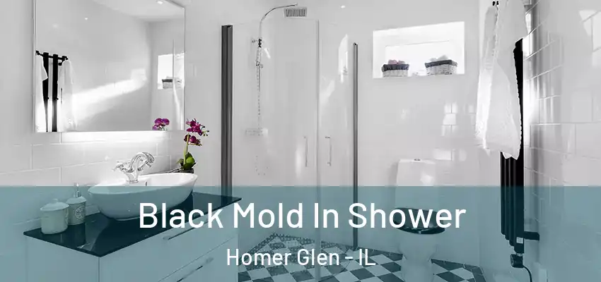  Black Mold In Shower Homer Glen - IL