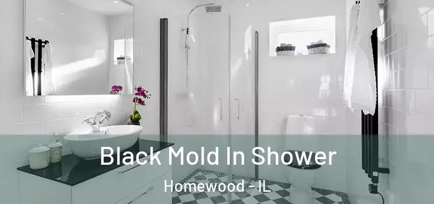 Black Mold In Shower Homewood - IL