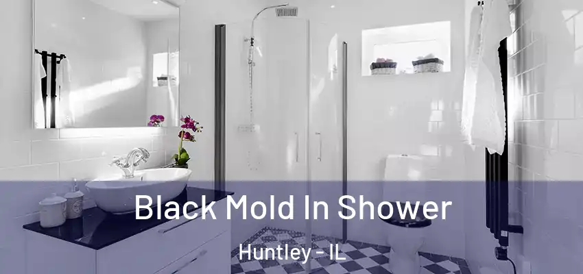 Black Mold In Shower Huntley - IL