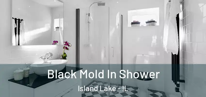 Black Mold In Shower Island Lake - IL