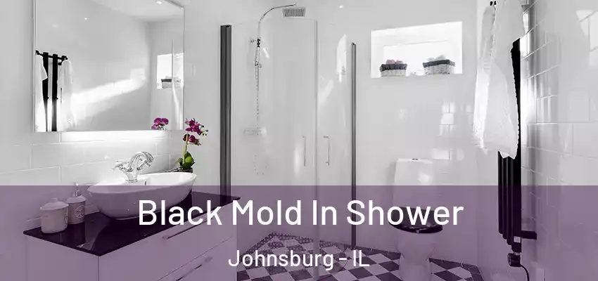 Black Mold In Shower Johnsburg - IL