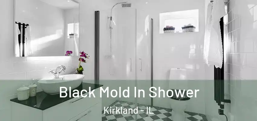  Black Mold In Shower Kirkland - IL