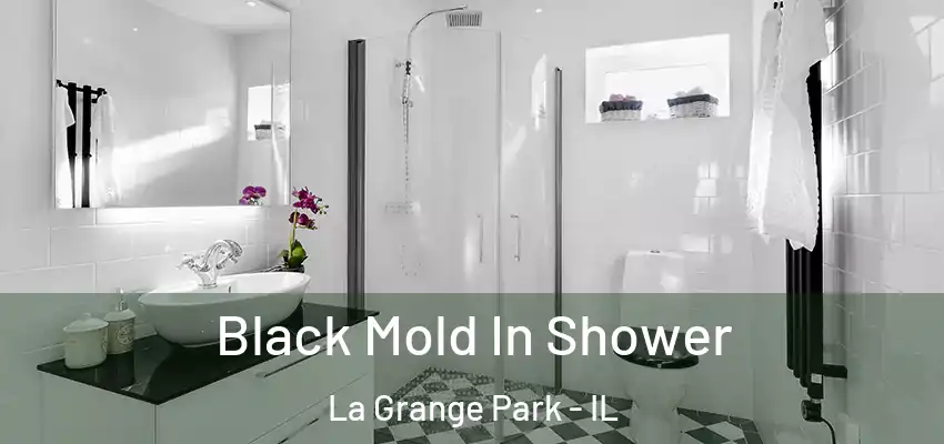 Black Mold In Shower La Grange Park - IL